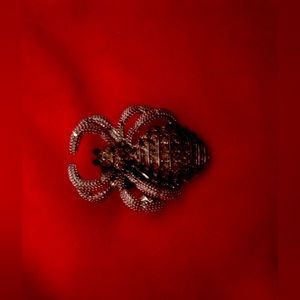 Black beetle bug Jibbittz shoe jewelry